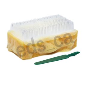 Cepillo Pre-Quirurgico y limpia uñas con Solución Iodada - BioScrub - Imagen 3